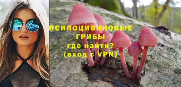 крисы Михайловск