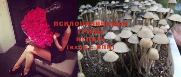 крисы Михайловск