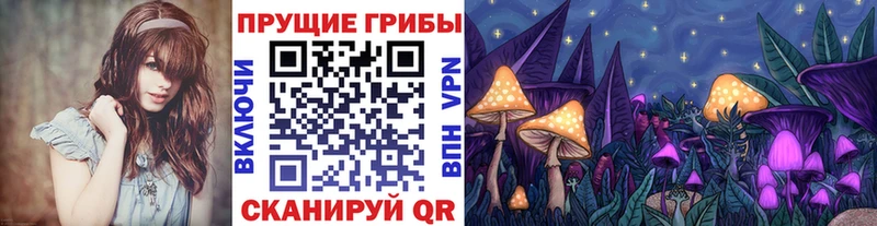 цена наркотик  Новотитаровская  Псилоцибиновые грибы MAGIC MUSHROOMS 